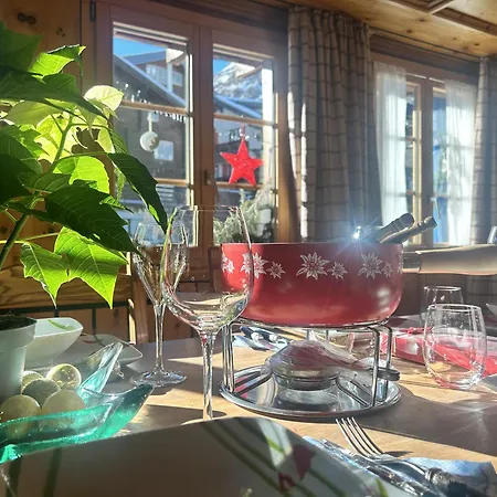 Cozy In Cozy Shared Flat - Prime Location Homestay Zermatt